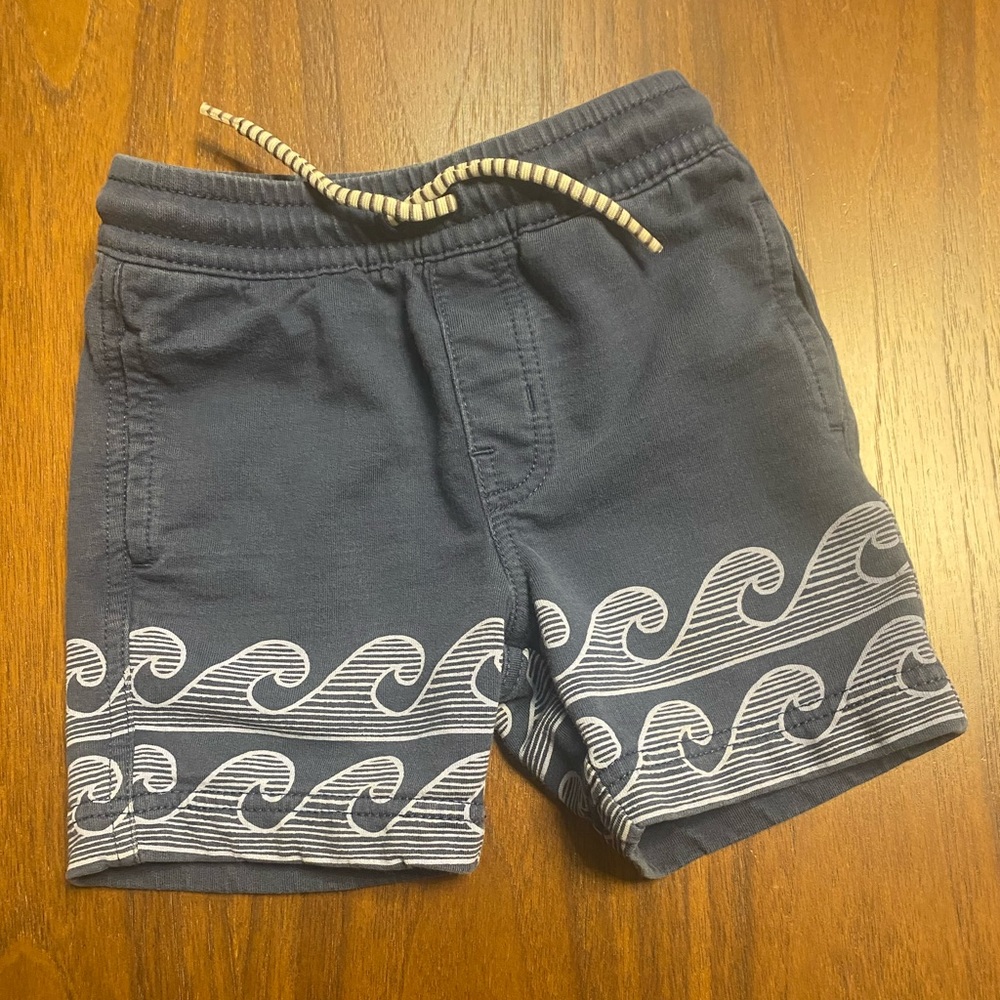 Tea Collection cotton toddler short 3T